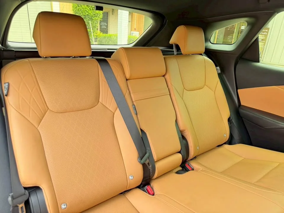 2023 Lexus RX V 2
