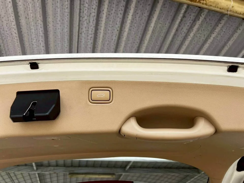 2015 Kia Carnival III 3