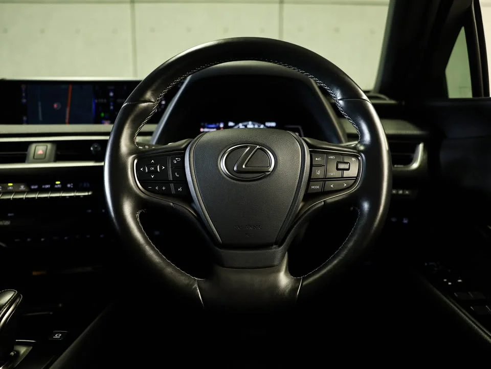 2021 Lexus UX ZA10 3