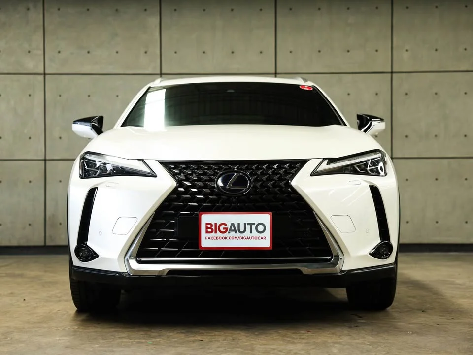 2021 Lexus UX ZA10 2
