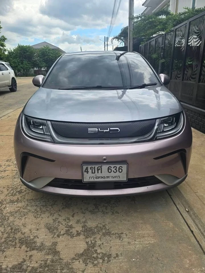 2023 BYD Dolphin 3