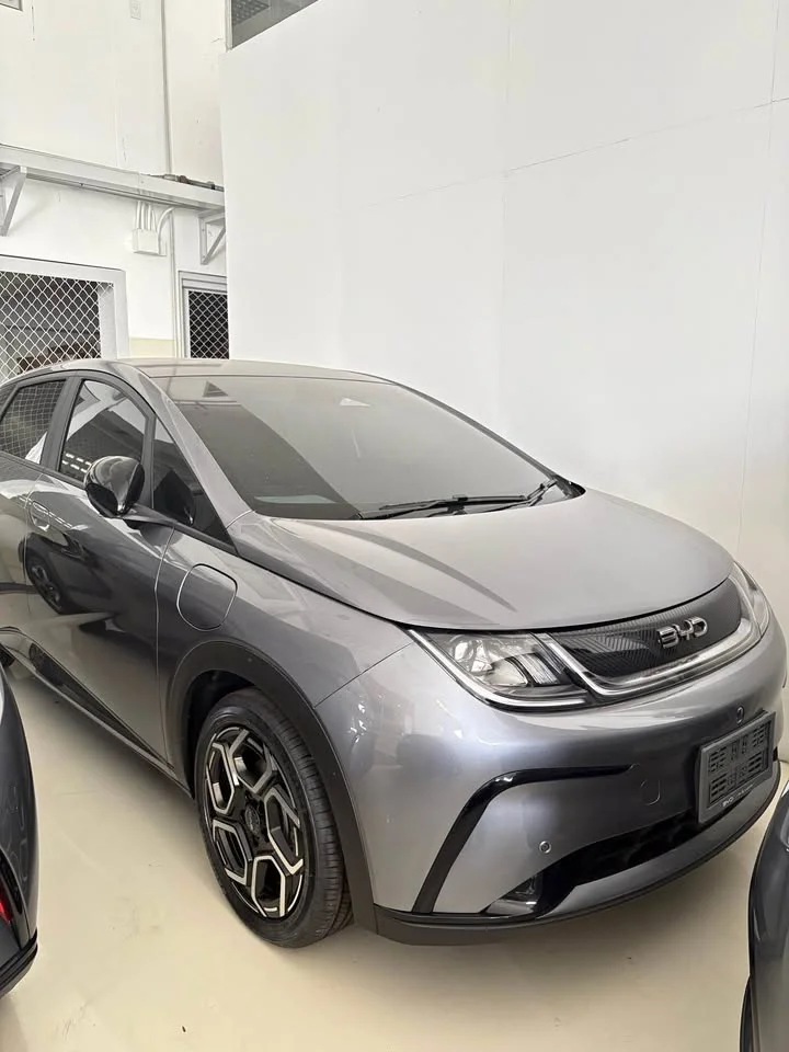 2025 BYD Dolphin 3