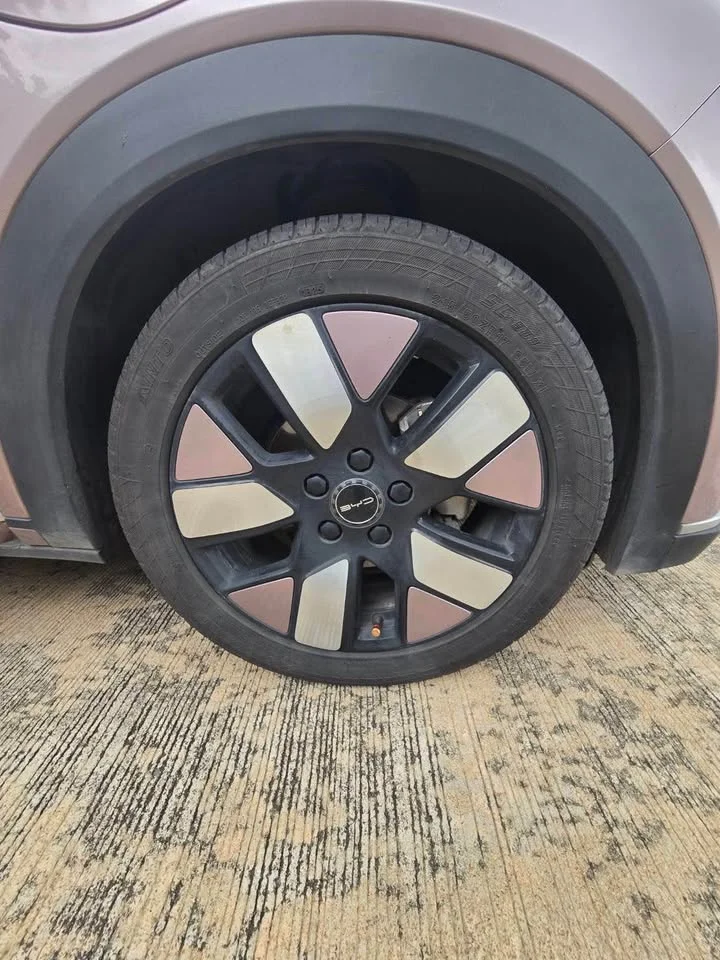 2024 BYD Dolphin 2
