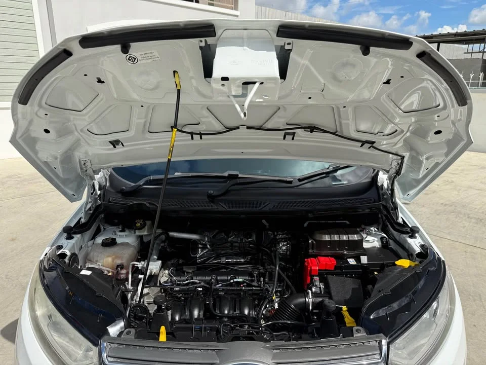 2014 Ford EcoSport II 2