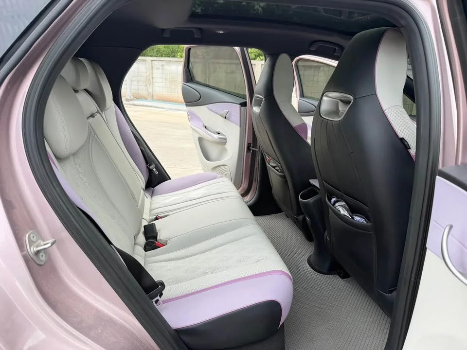 2023 BYD Dolphin 3