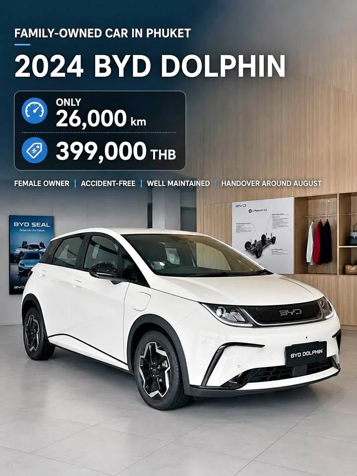2024 BYD Dolphin 3