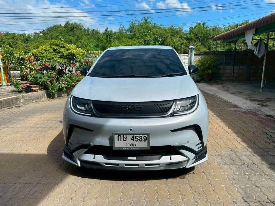 2025 BYD Dolphin 2