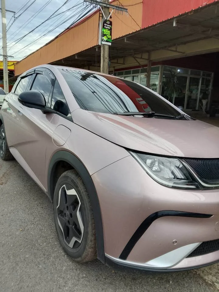 2024 BYD Dolphin 3