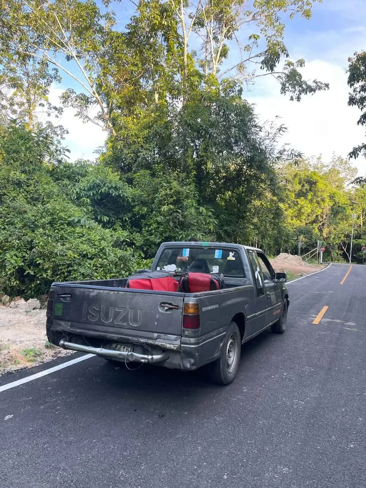 1991 Isuzu TFR III 2
