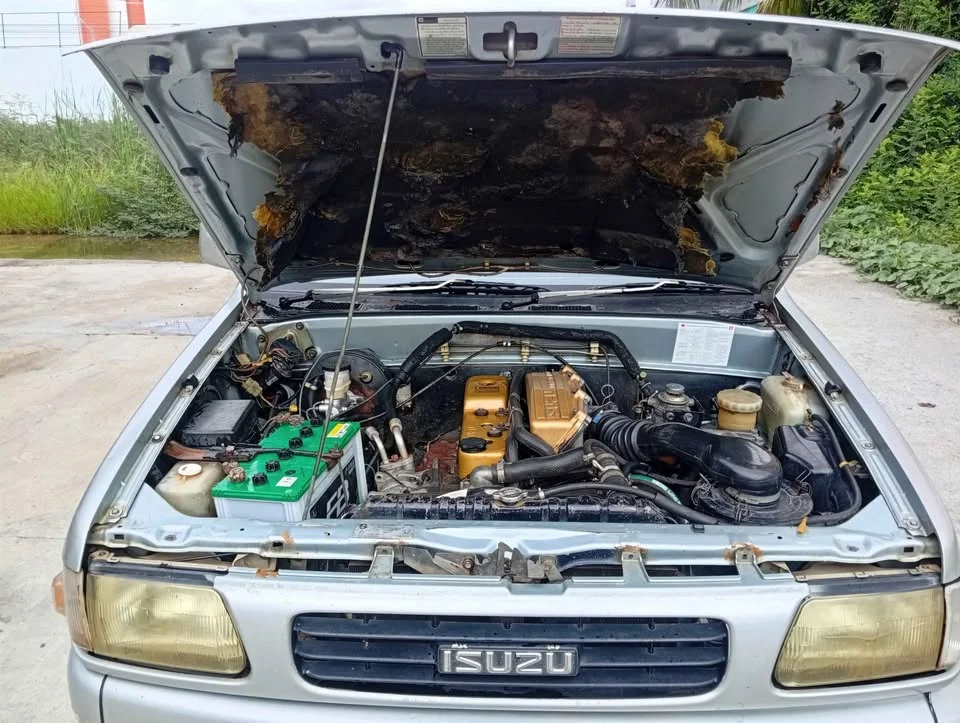 1996 Isuzu TFR III 2