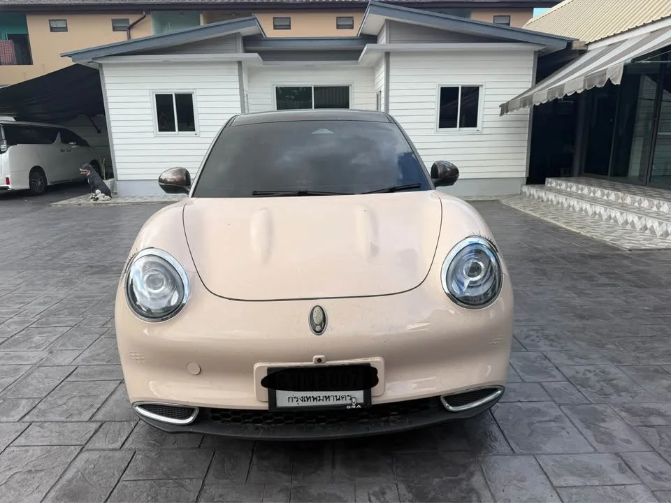 2025 GWM Ora Good Cat 3
