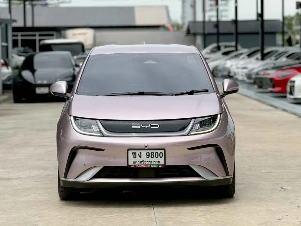 2024 BYD Dolphin 3