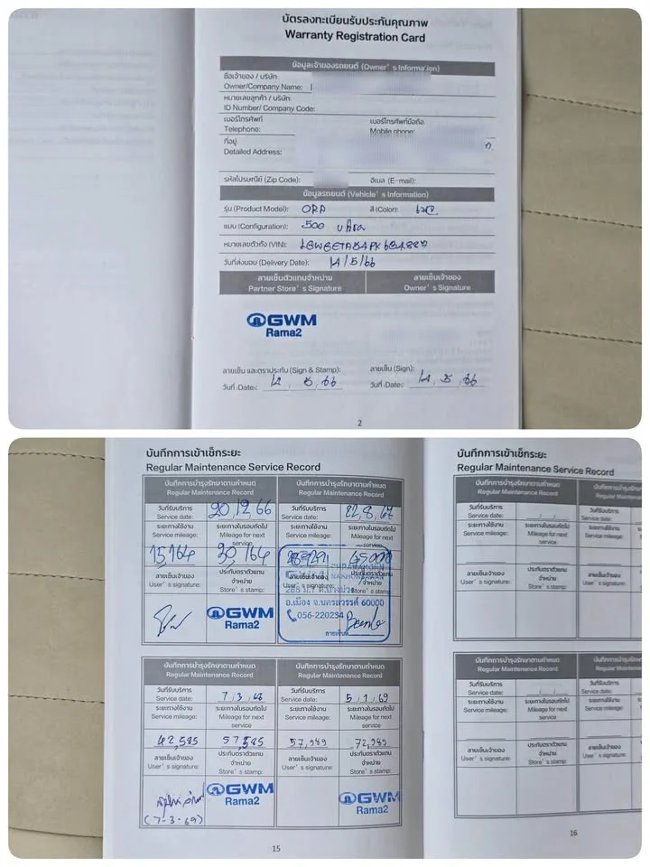 2023 GWM Ora Good Cat 3