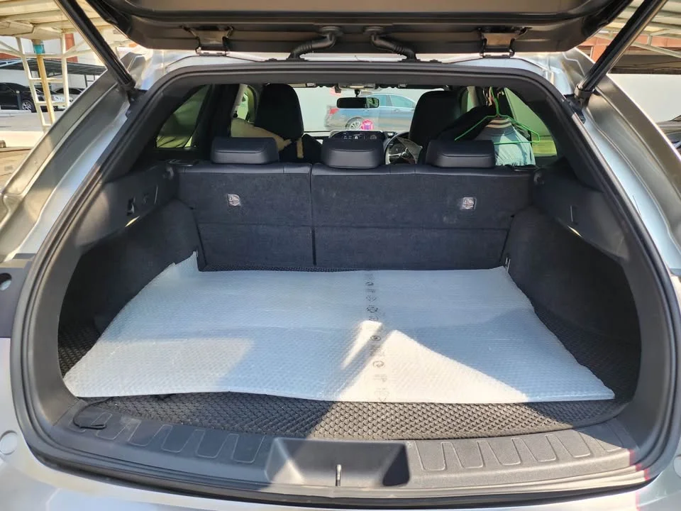 2019 Lexus UX ZA10 3