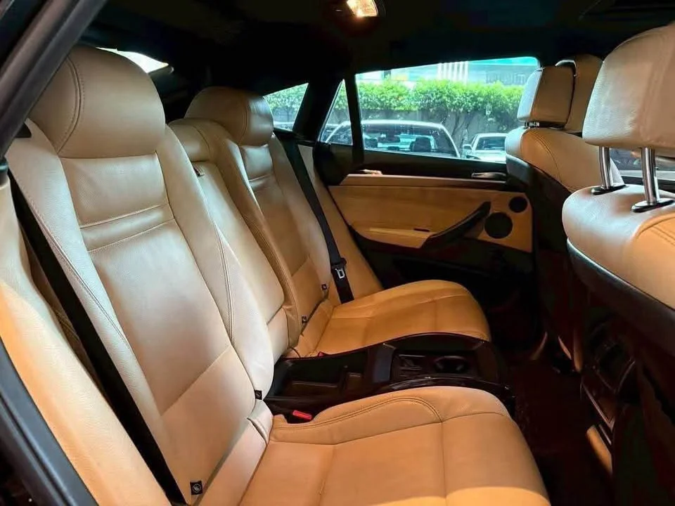 2010 BMW X6 E71, E72 3