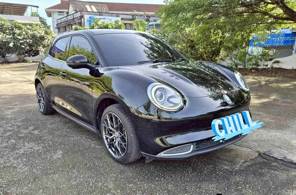 2022 GWM Ora Good Cat 2