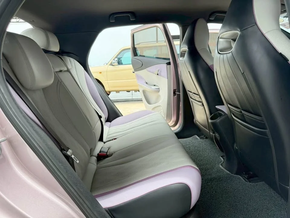 2024 BYD Dolphin 2