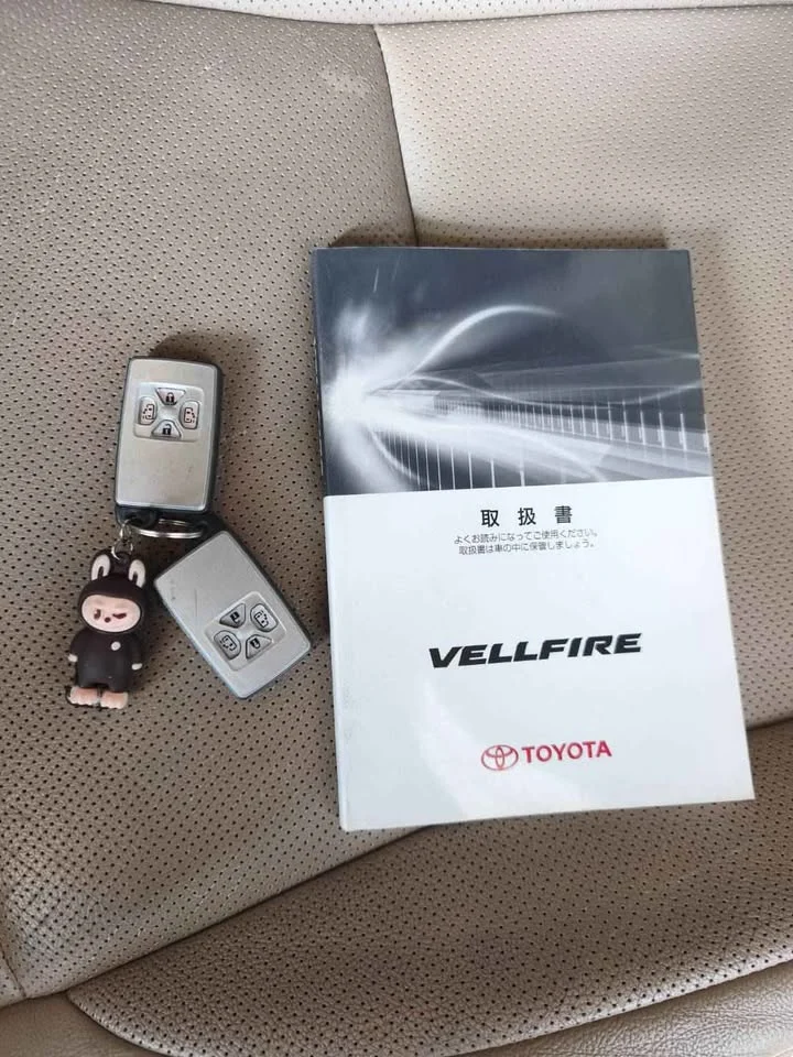 2010 Toyota Alphard, Vellfire II (AH20) 2