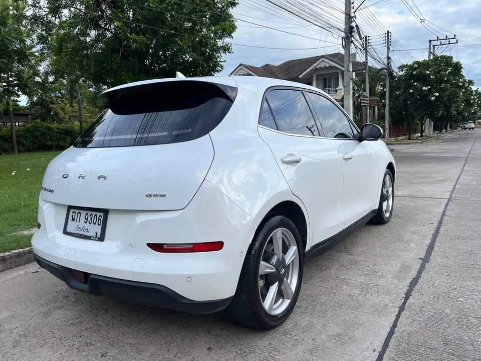 2021 GWM Ora Good Cat 2