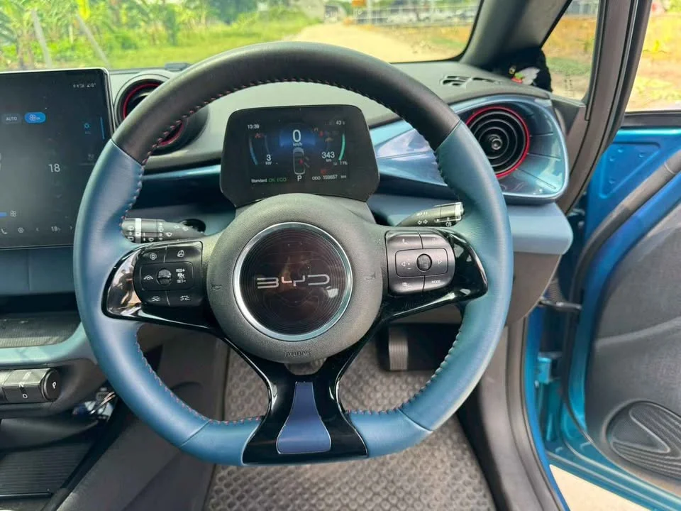 2023 BYD Dolphin 3
