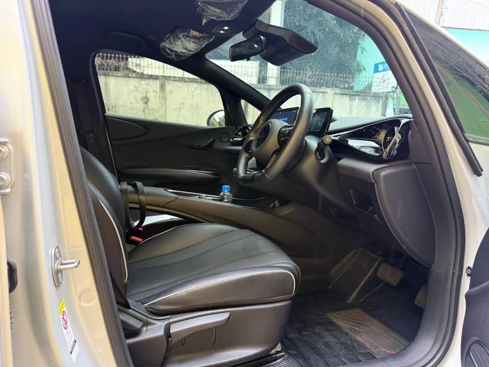 2025 BYD Dolphin 2