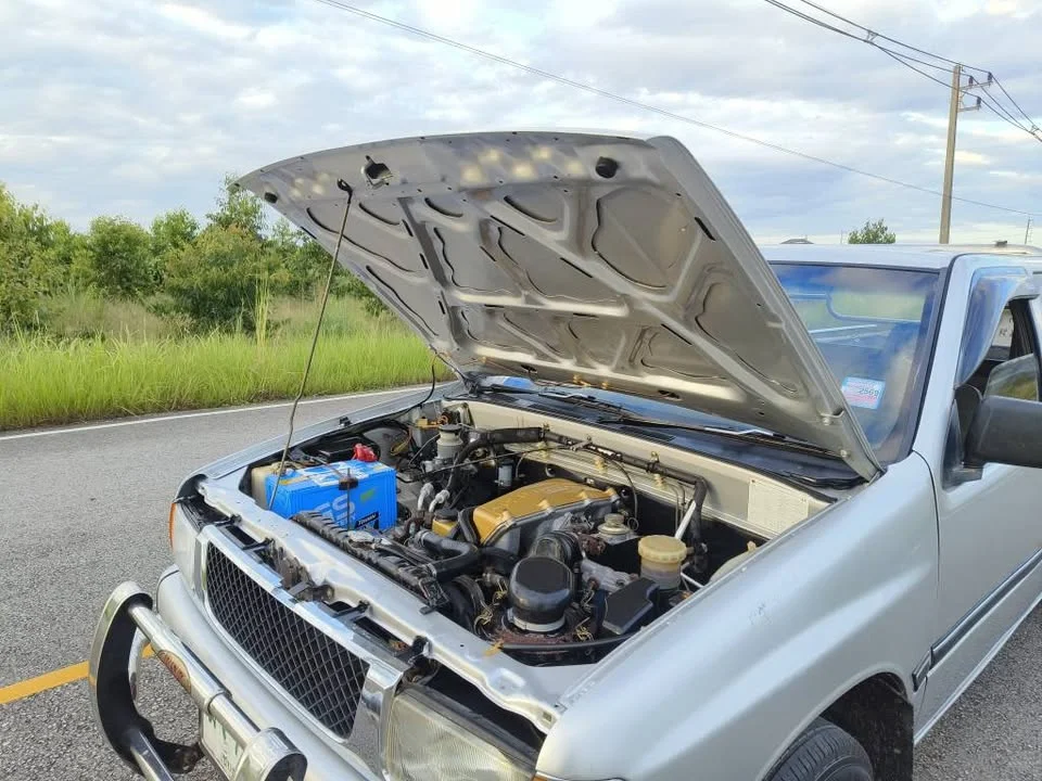 1994 Isuzu TFR III 3