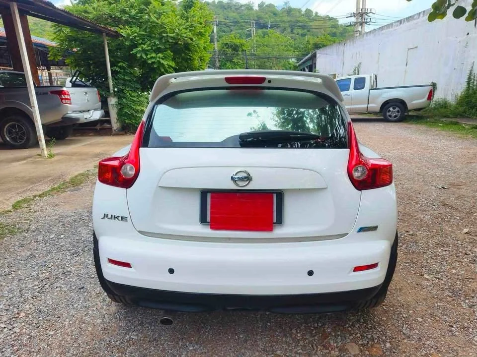2013 Nissan Juke I (F15) 3