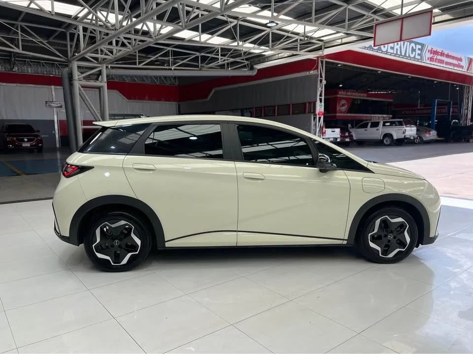 2024 BYD Dolphin 3