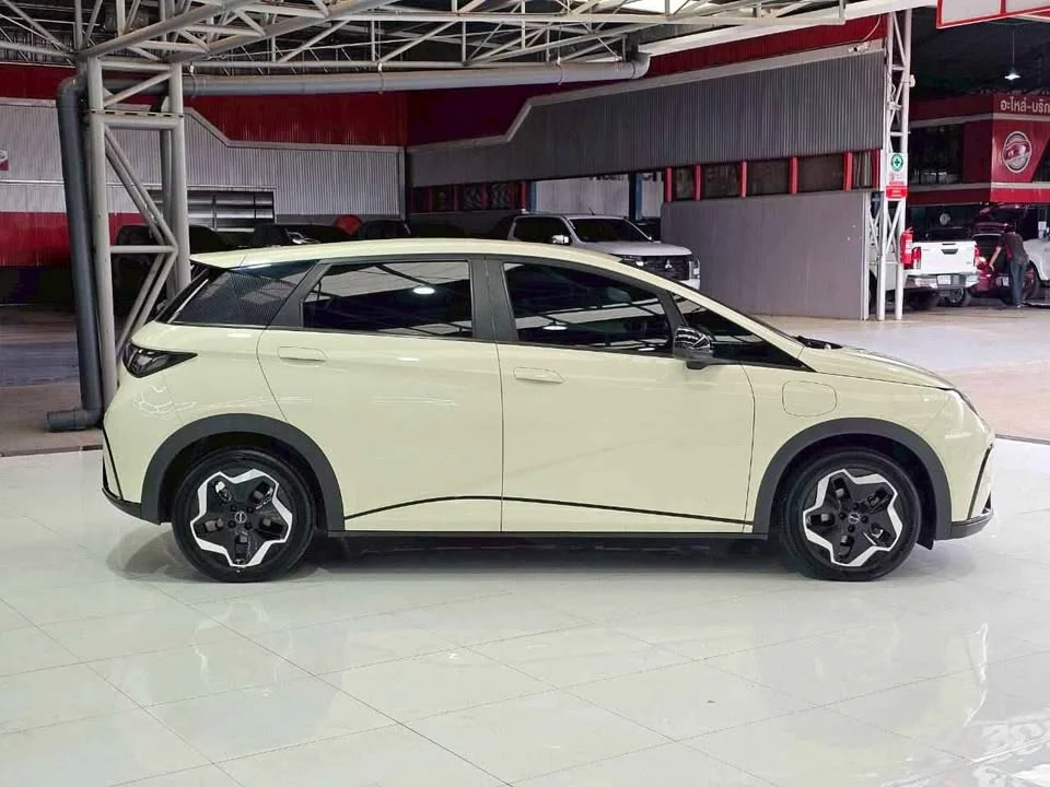 2024 BYD Dolphin 2