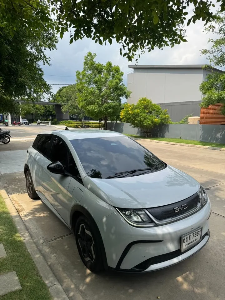 2024 BYD Dolphin 3