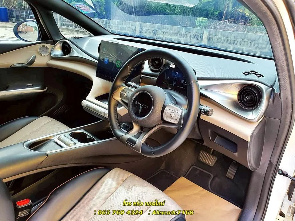 2024 BYD Dolphin 3