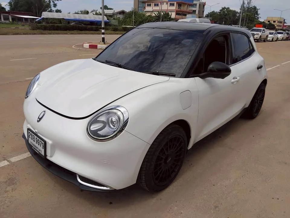 2022 GWM Ora Good Cat 2