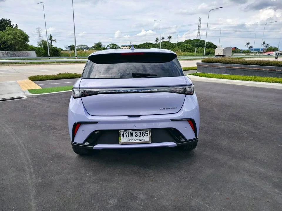 2023 BYD Dolphin 3