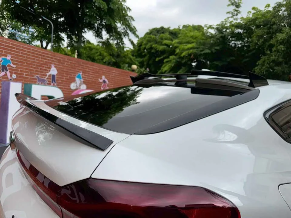 2023 BMW X6 G06 2