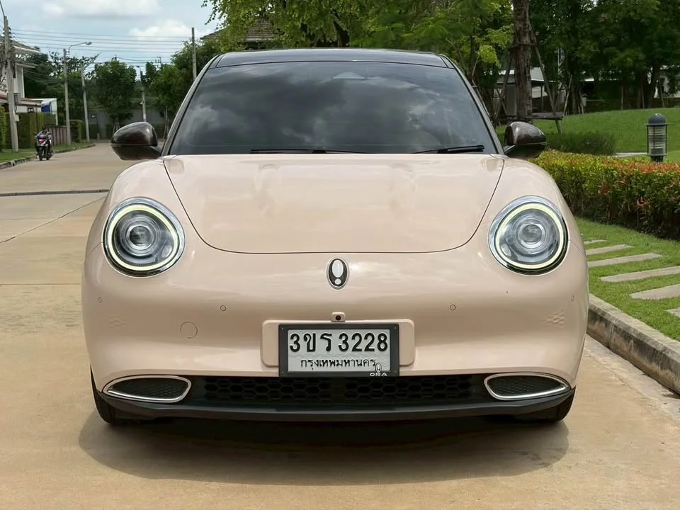 2022 GWM Ora Good Cat 2
