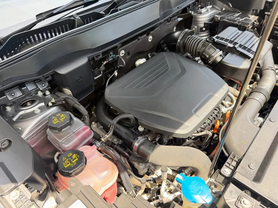 2021 GWM Haval H6 III 2