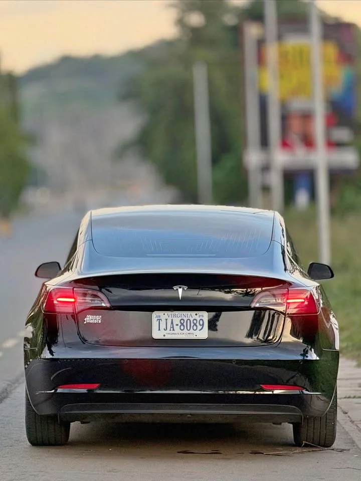 2020 Tesla Model 3 3