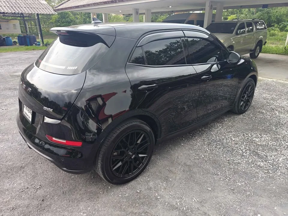 2021 GWM Ora Good Cat 2