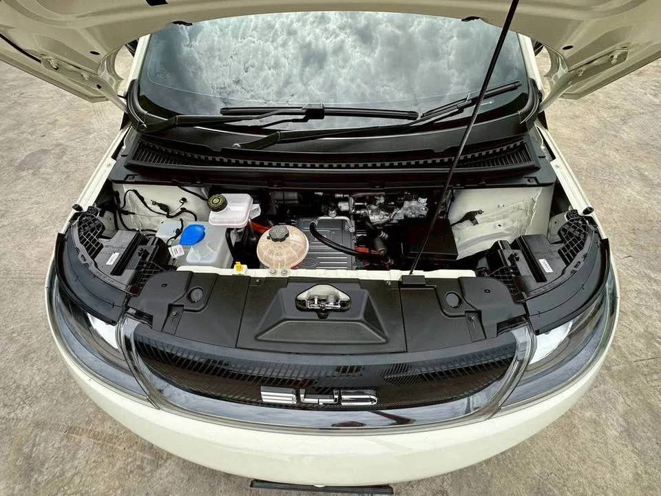 2023 BYD Dolphin 2