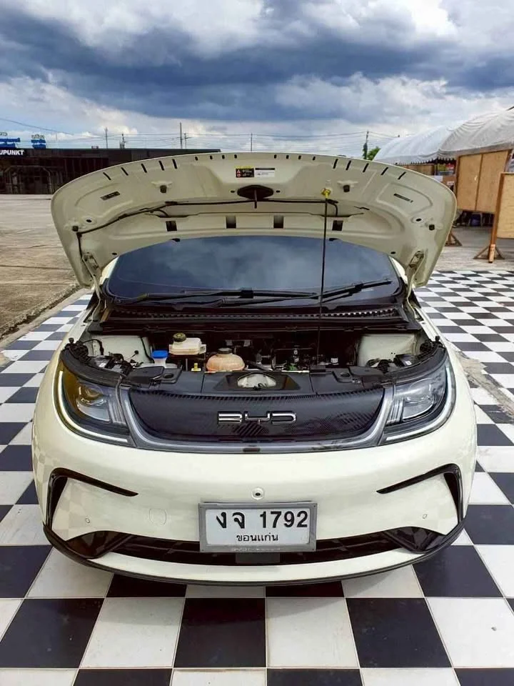 2024 BYD Dolphin 3