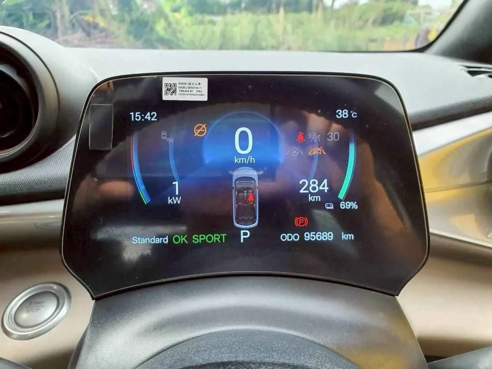 2024 BYD Dolphin 2