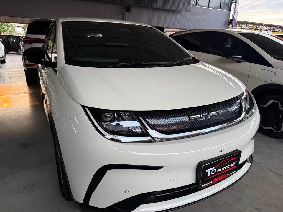 2024 BYD Dolphin 2