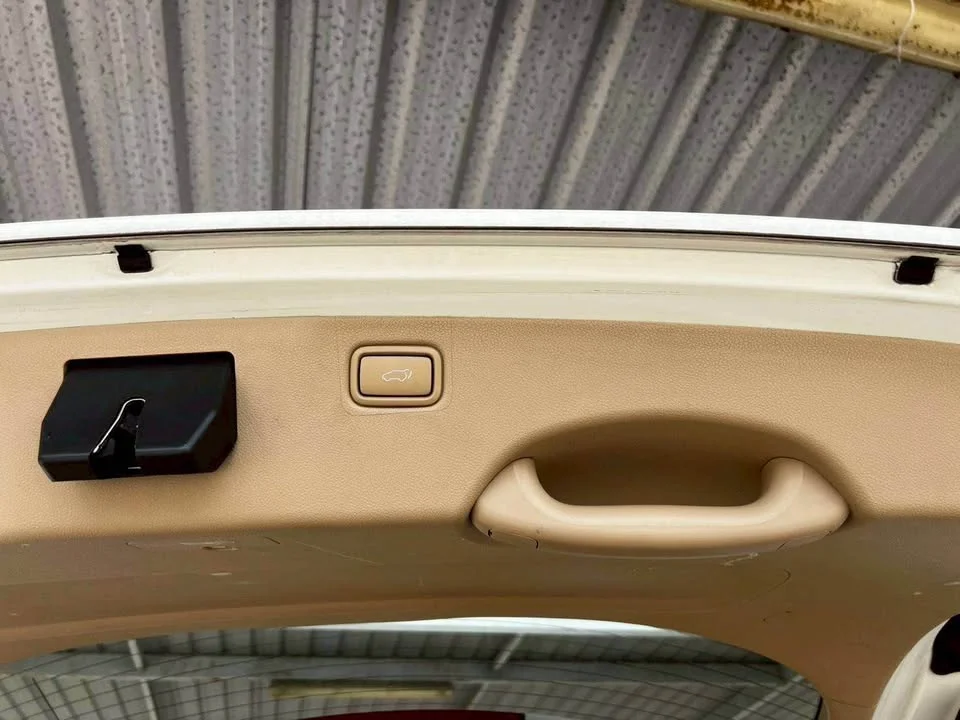 2015 Kia Carnival III 3