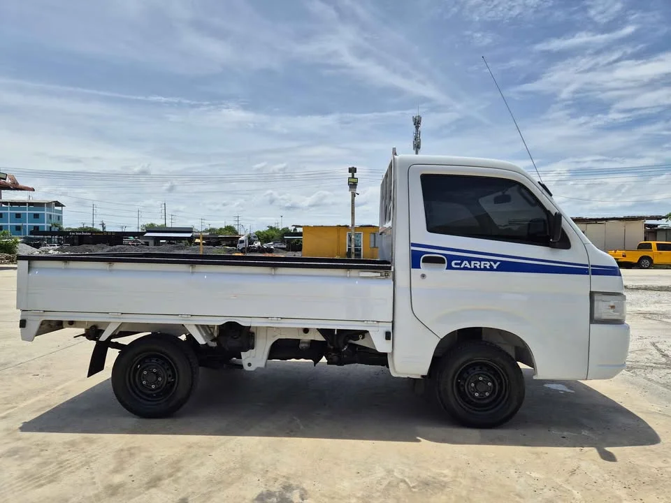 2019 Suzuki Carry II 3