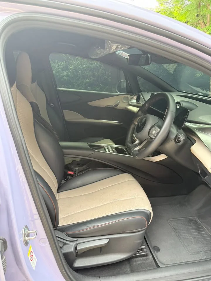 2024 BYD Dolphin 2