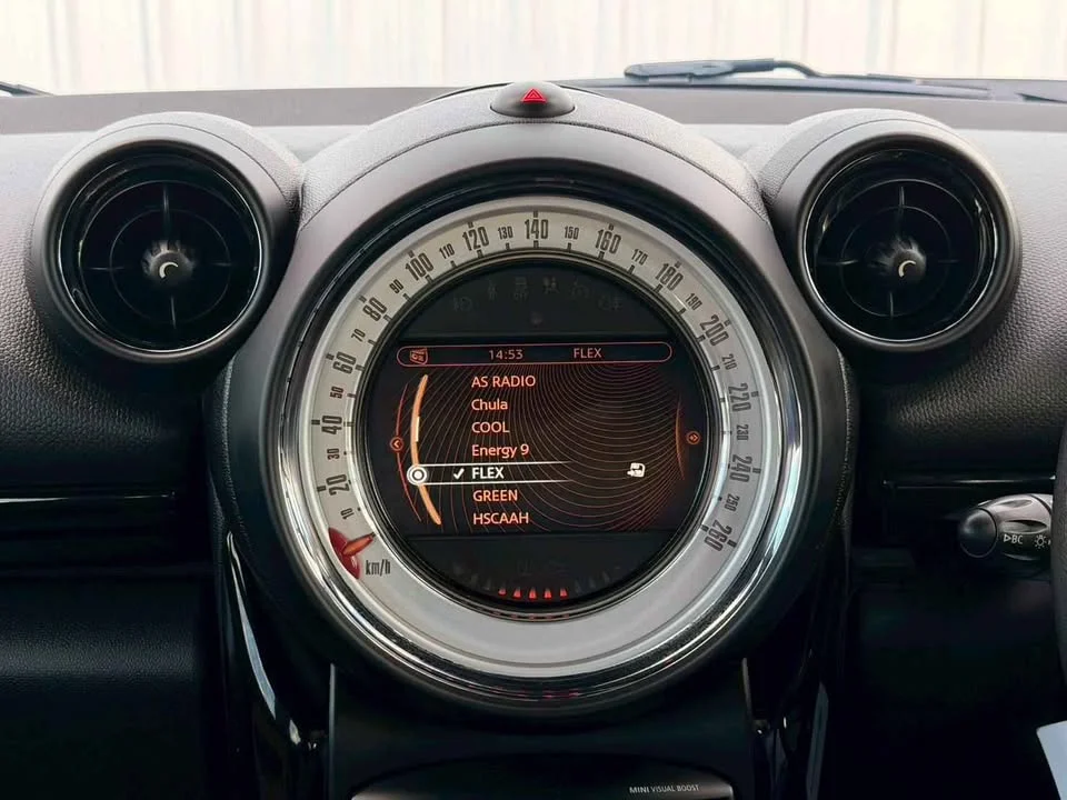 2014 Mini Countryman I 3