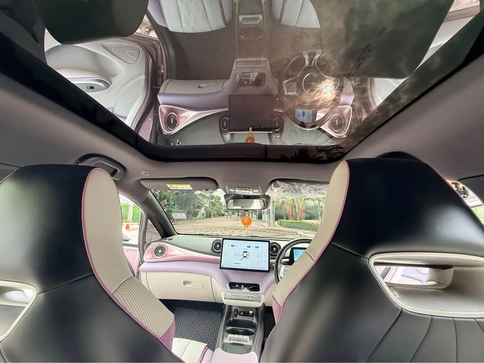 2023 BYD Dolphin 2