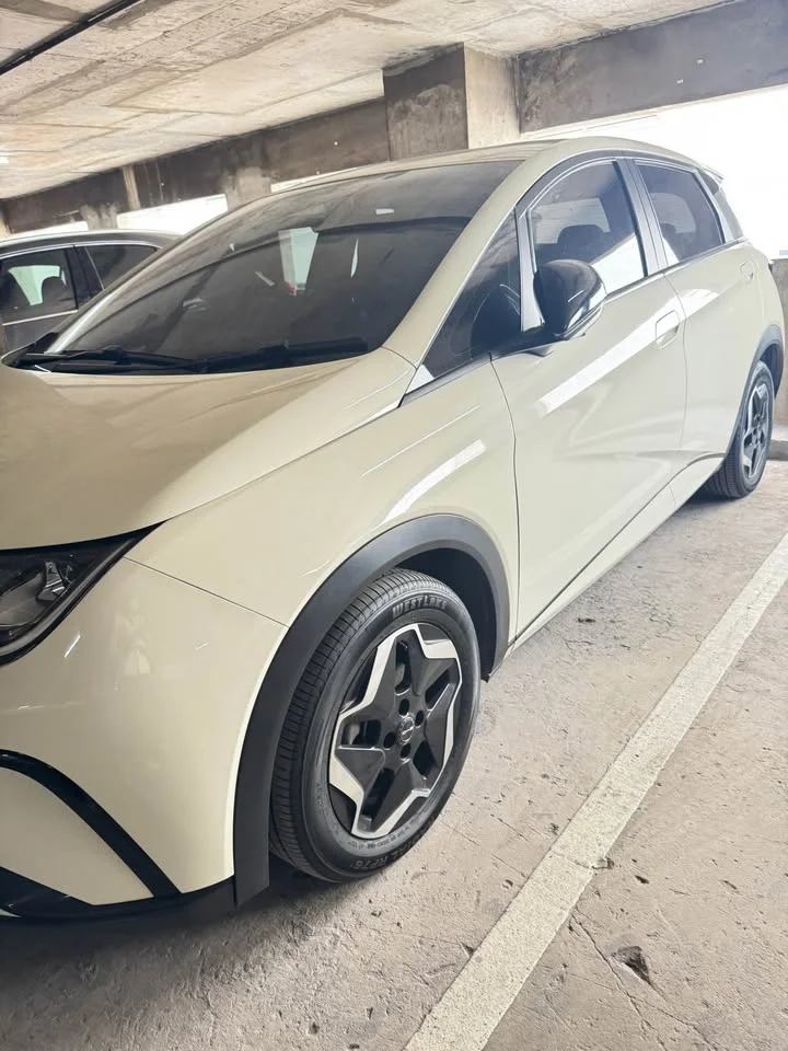 2023 BYD Dolphin 2