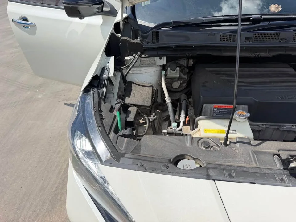 2019 Nissan Leaf II 2