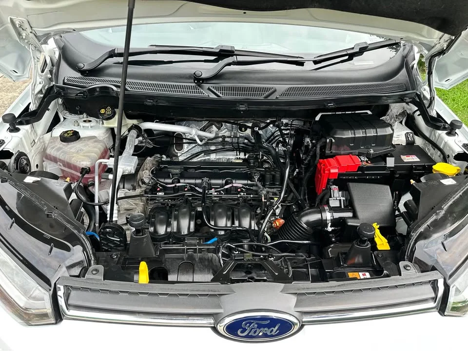 2014 Ford EcoSport II 2